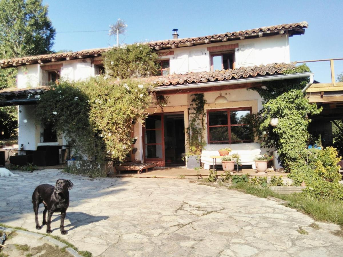 La Sourciere D'Eros Hotel Bellesserre Bagian luar foto